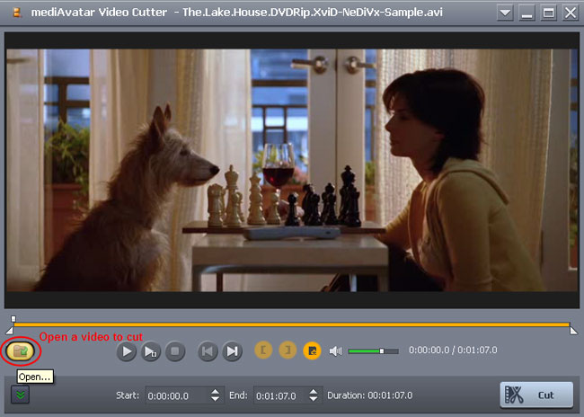 lossless video cutter